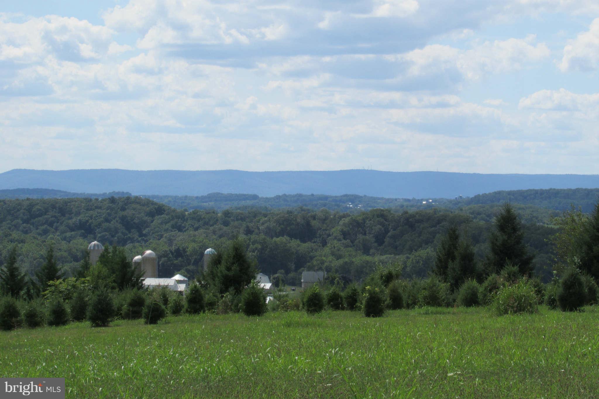 8231 Talbot Run Road Mount Airy, MD 21771 - Photo 10 of 13 View to west - mid range