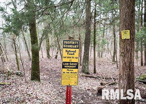 385 Rushing Road Simpson, IL 62985 - Photo 29 of 44