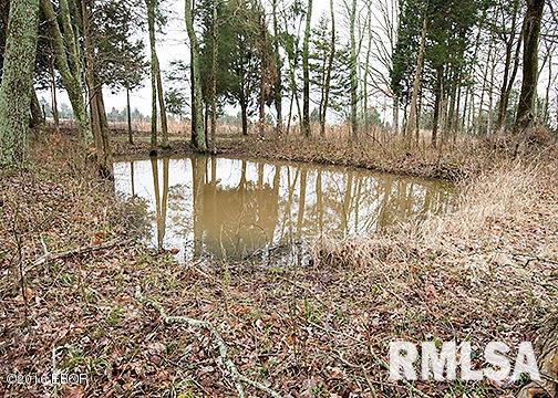 385 Rushing Road Simpson, IL 62985 - Photo 30 of 44