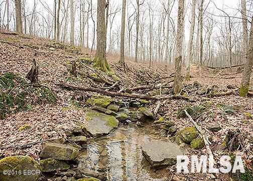 385 Rushing Road Simpson, IL 62985 - Photo 3 of 44