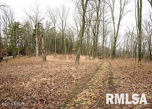385 Rushing Road Simpson, IL 62985 - Photo 34 of 44
