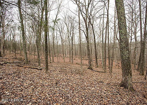 385 Rushing Road Simpson, IL 62985 - Photo 36 of 44