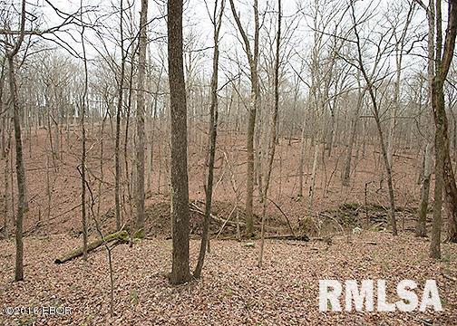 385 Rushing Road Simpson, IL 62985 - Photo 39 of 44