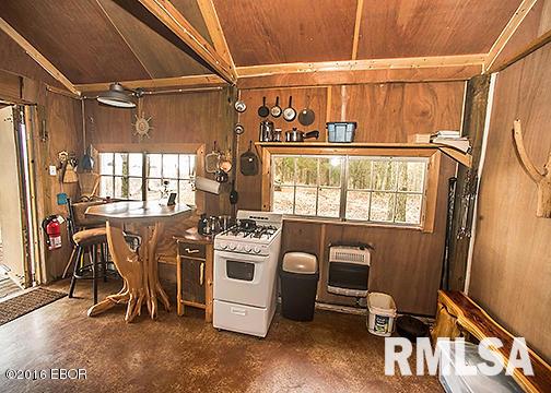 385 Rushing Road Simpson, IL 62985 - Photo 4 of 44