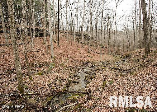 385 Rushing Road Simpson, IL 62985 - Photo 41 of 44
