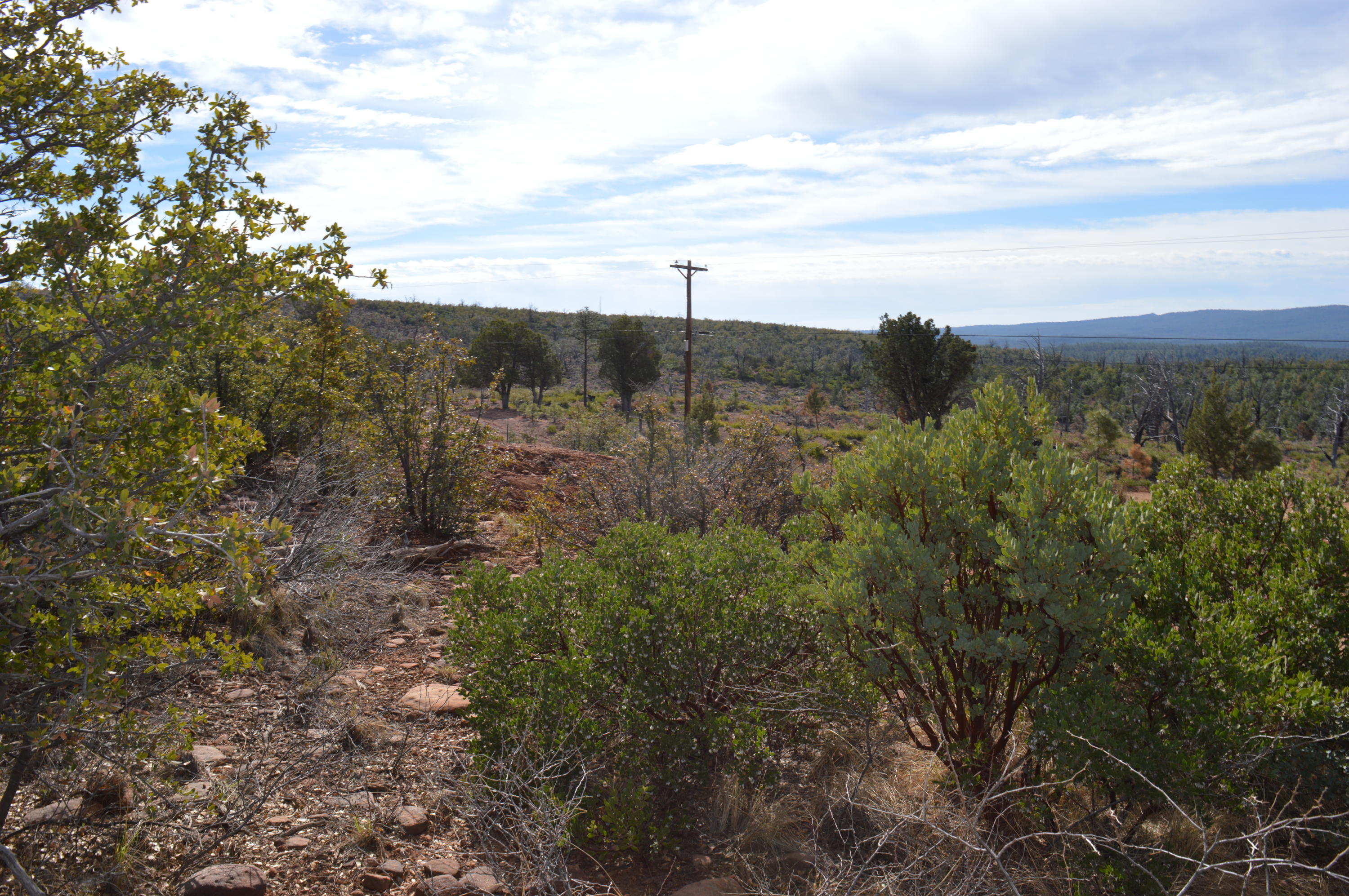 Lot 19 North Myrtle Point Trail Payson, AZ 85541 - Photo 3 of 10