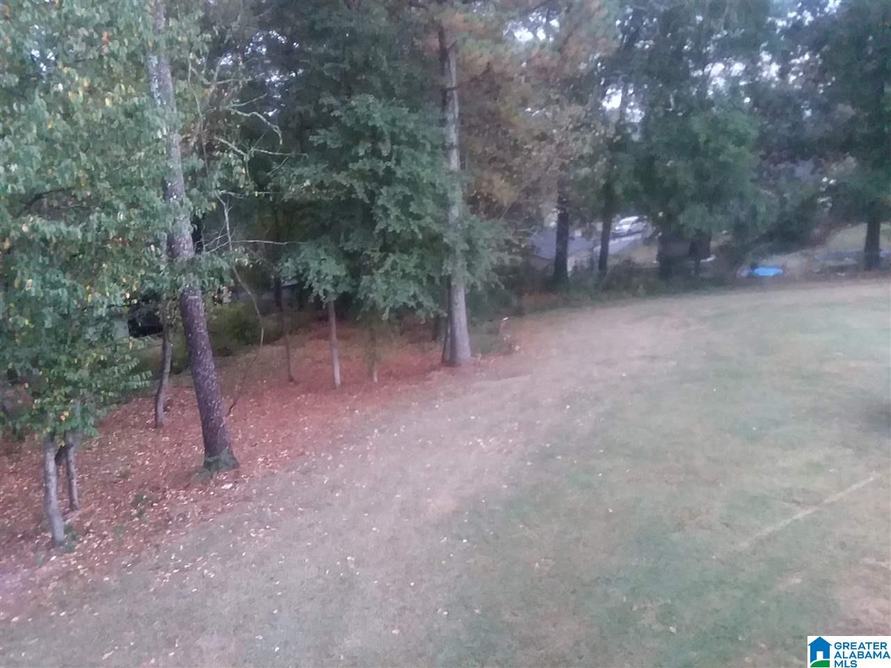 2425 Tracy Lane Center Point, AL 35215 - Photo 6 of 29 Gallery Image 6