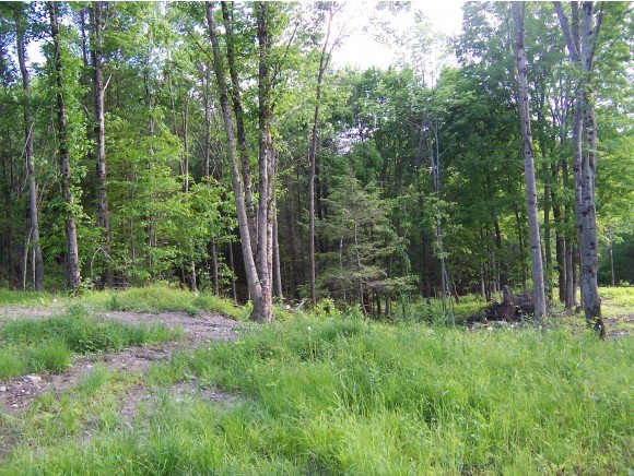 3120 North Cambridge Road Cambridge, VT 05464 - Photo 3 of 3