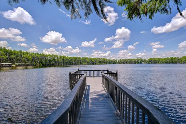 $1,500,000 | 20915 Lake Vienna Drive, Land O Lakes, FL 34638