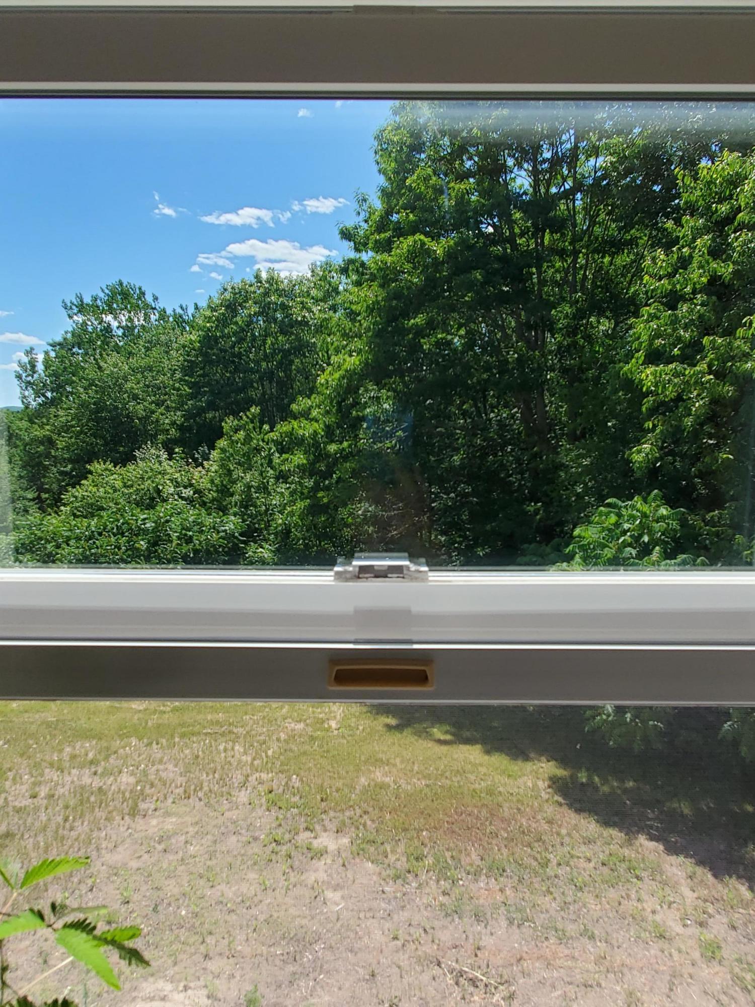 593 Bishop Hill Road Leeds, ME 04263 - Photo 45 of 62 20210617_145202