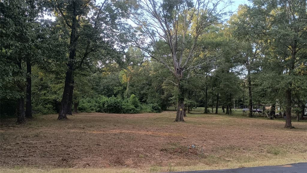 588 Ranchette Road Stonewall, LA 71078 - Photo 1 of 1 View of local wilderness