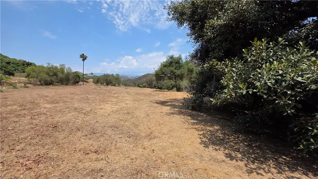 a view of outdoor space and yard