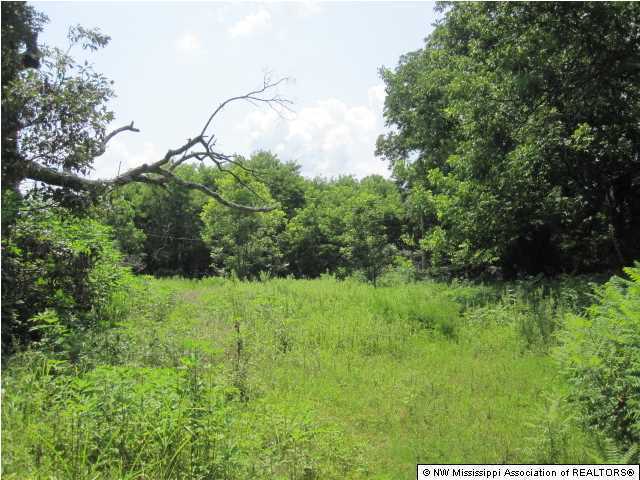 8 Parks Place Road Como, MS 38619 - Photo 1 of 12 Primary Photo