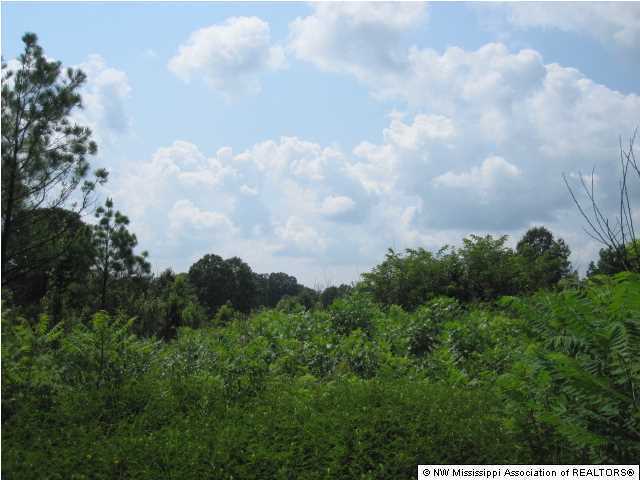 8 Parks Place Road Como, MS 38619 - Photo 11 of 12 Additional Photo