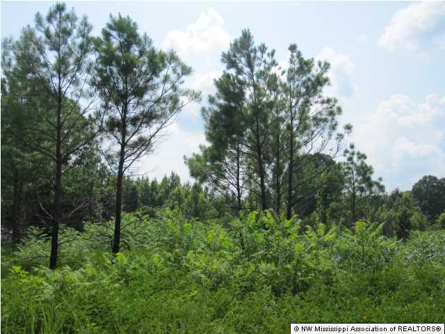 8 Parks Place Road Como, MS 38619 - Photo 10 of 12 Additional Photo