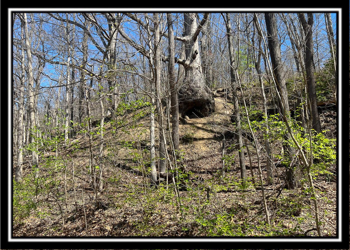 0 North Musselman Station Road Frankfort, OH 45628 - Photo 30 of 51 CT-30