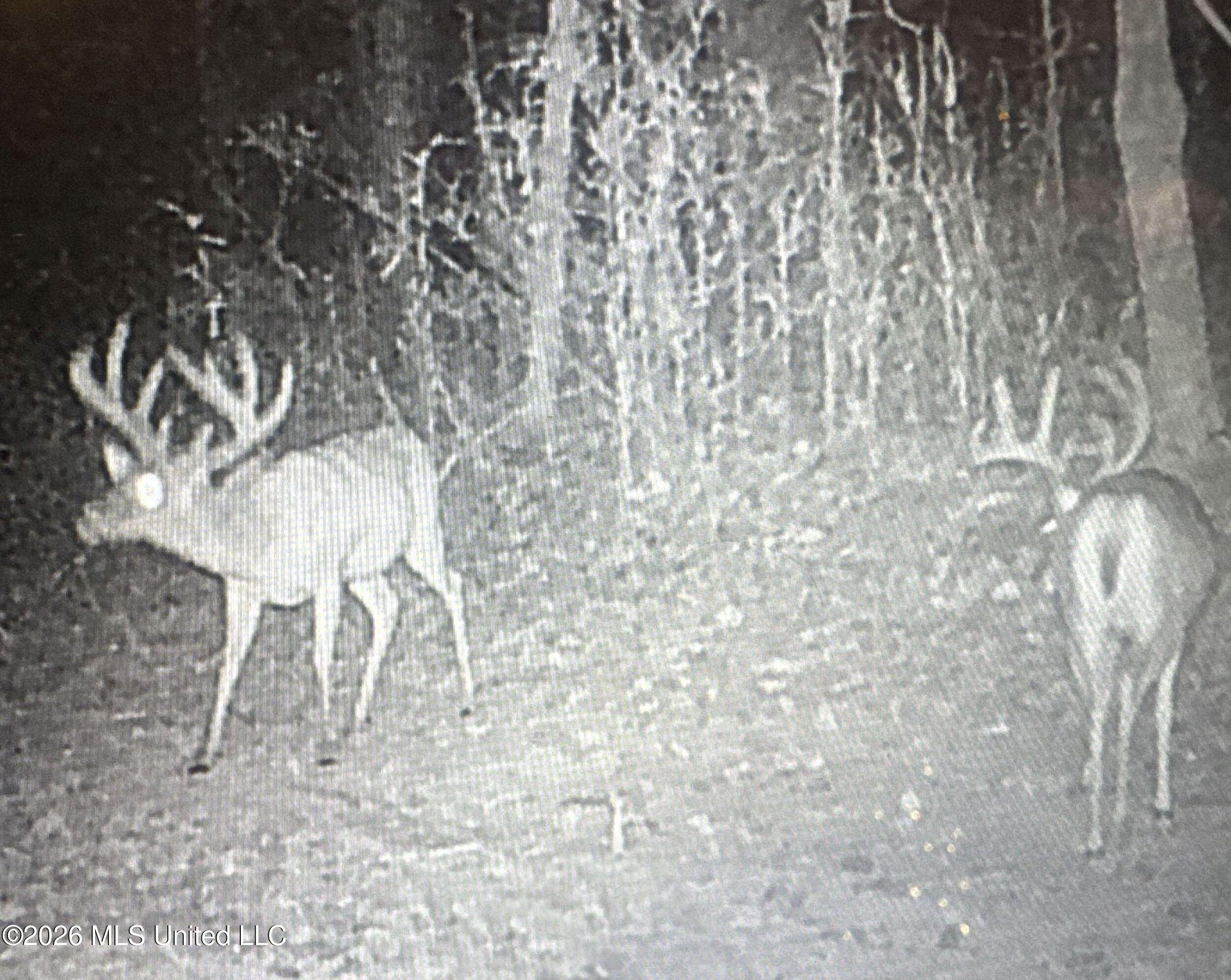 884 Avant Road Crenshaw, MS 38621 - Photo 14 of 154 2dbyicr13