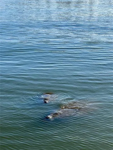 a couple of table and chairs in front of white building