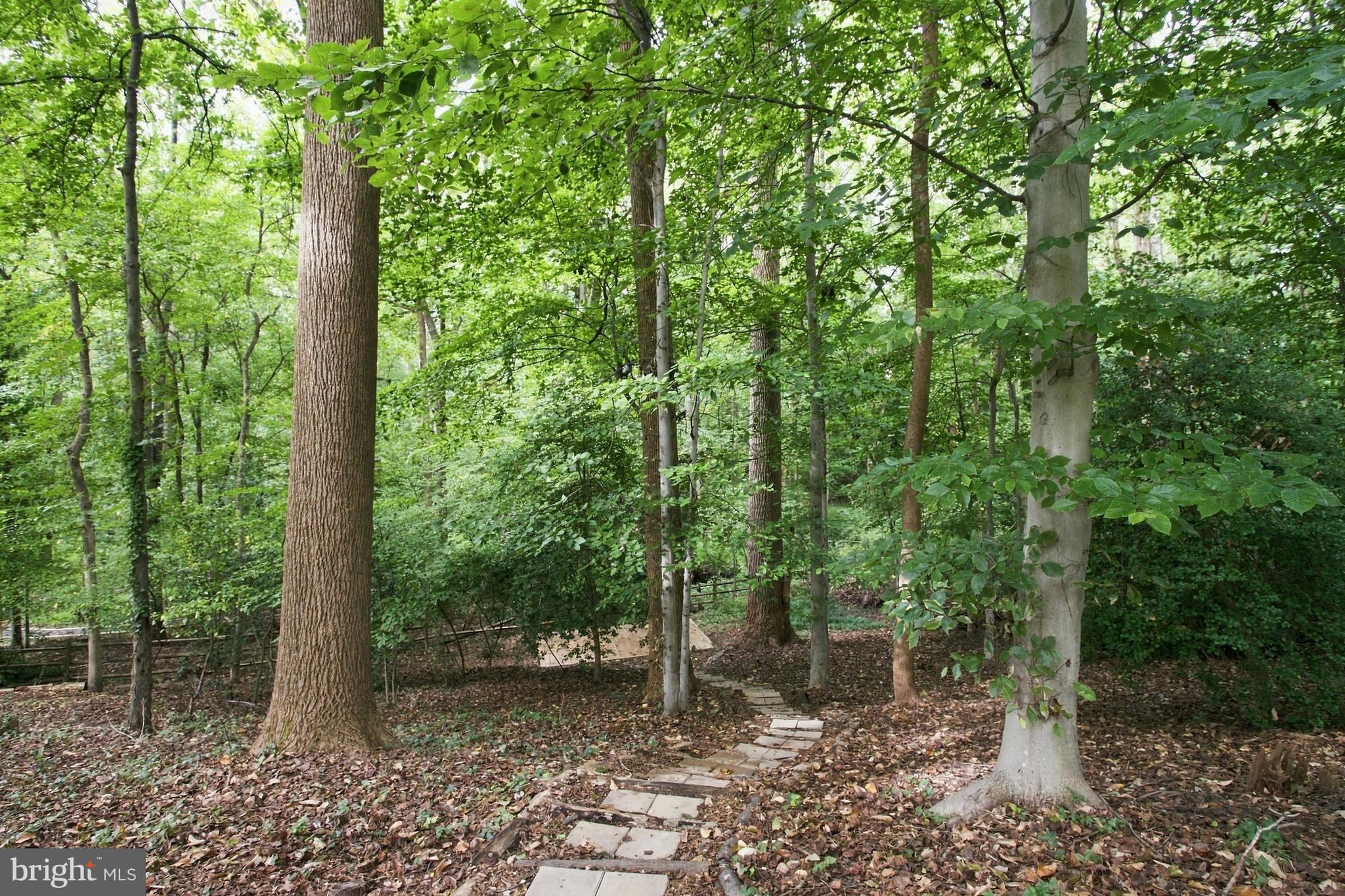 3418 Blair Road Falls Church, VA 22041 - Photo 70 of 80 Gallery Image 70