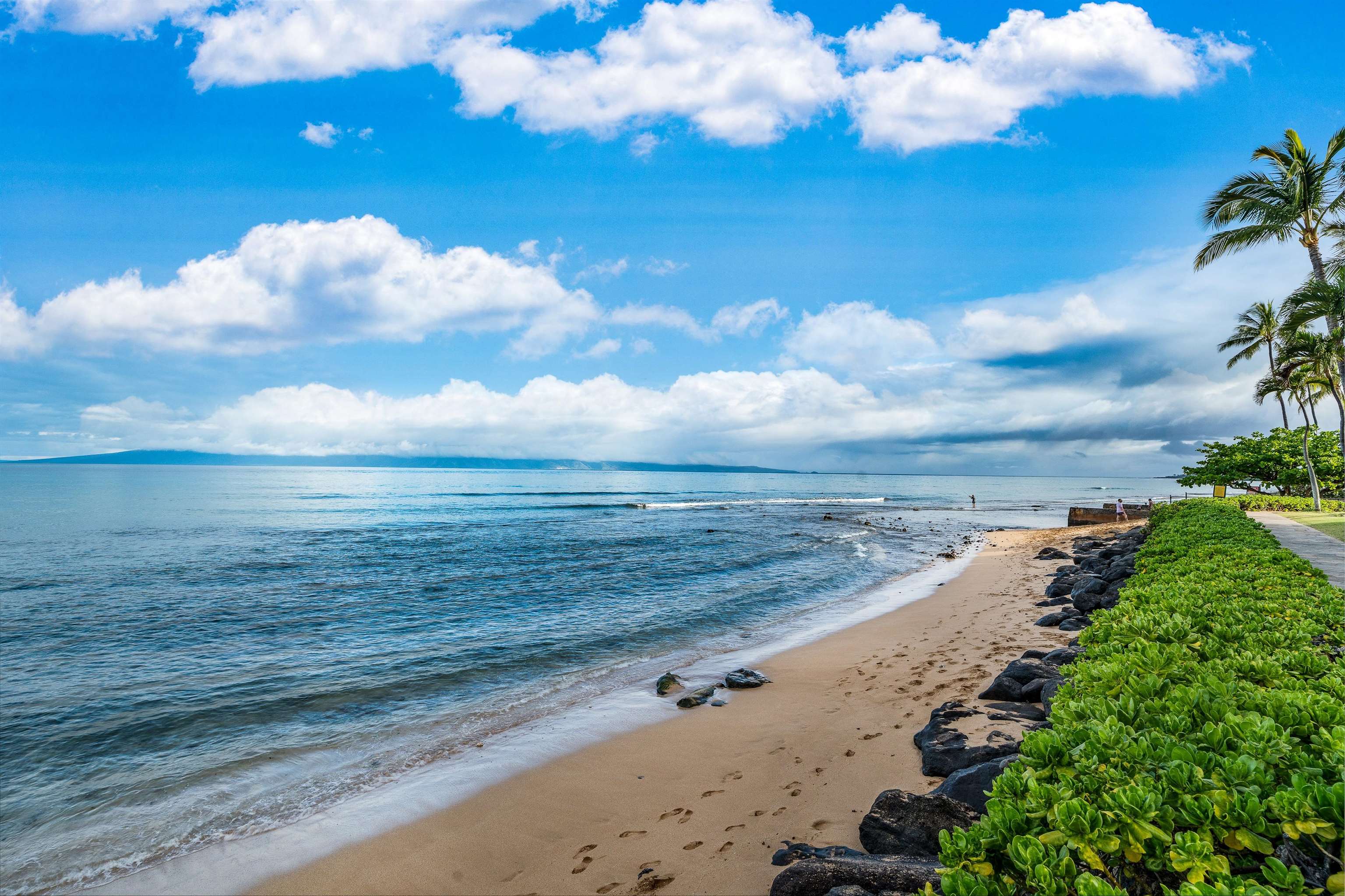 3445 Lower Honoapiilani Road, Unit 905 Lahaina, HI 96761 - Photo 39 of 47
