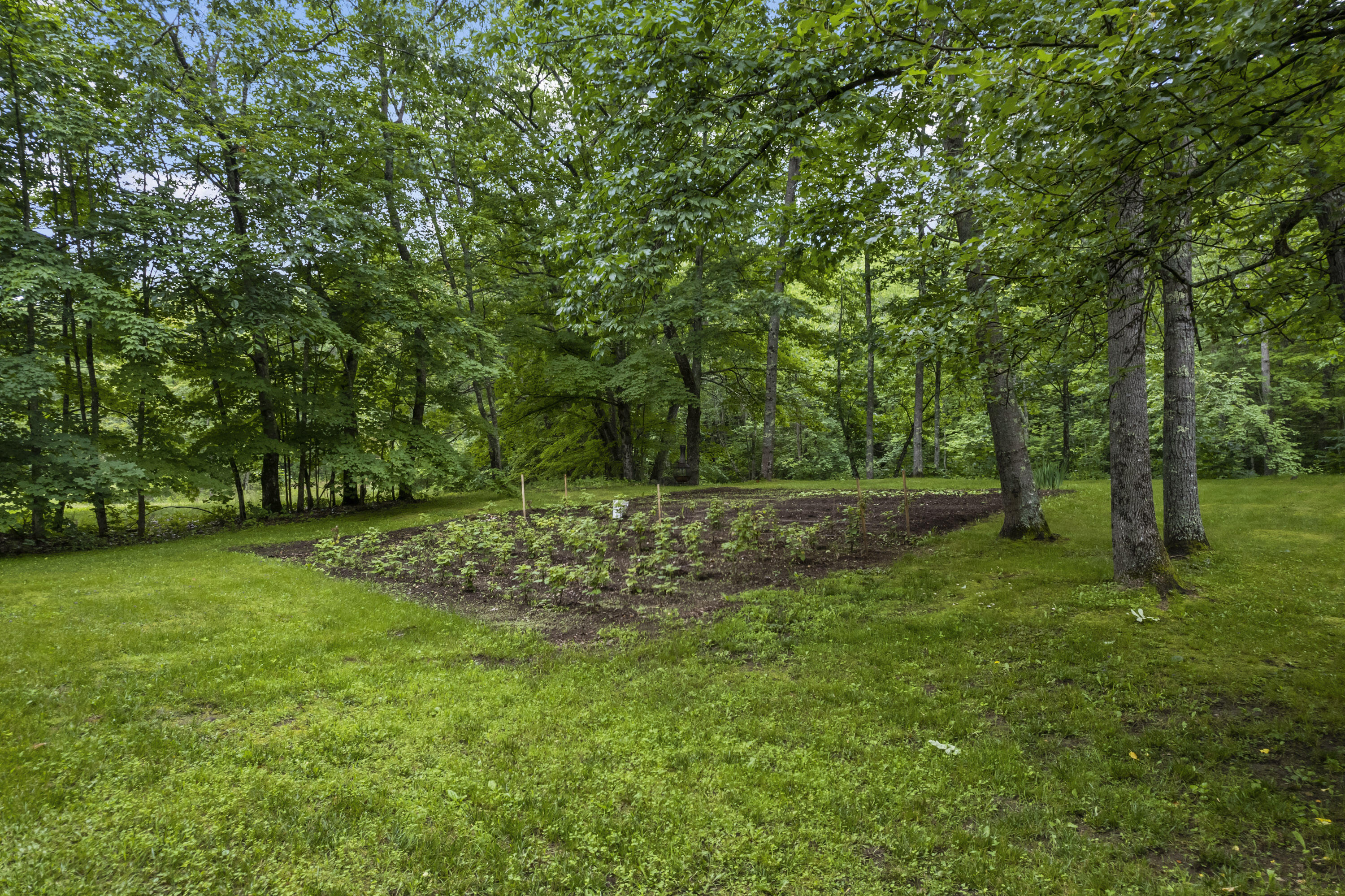 456 North Buckfield Road Buckfield, ME 04220 - Photo 66 of 77 456 North Buckfield Rd_195a