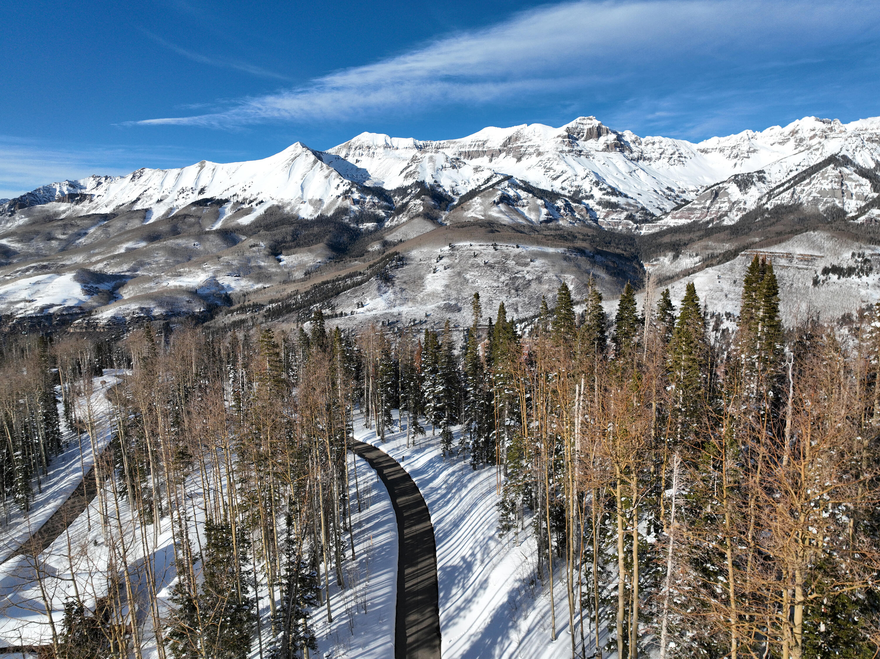 Tba Ridge Road Telluride, CO 81435 - Photo 5 of 15 a view of a forest that has a tree