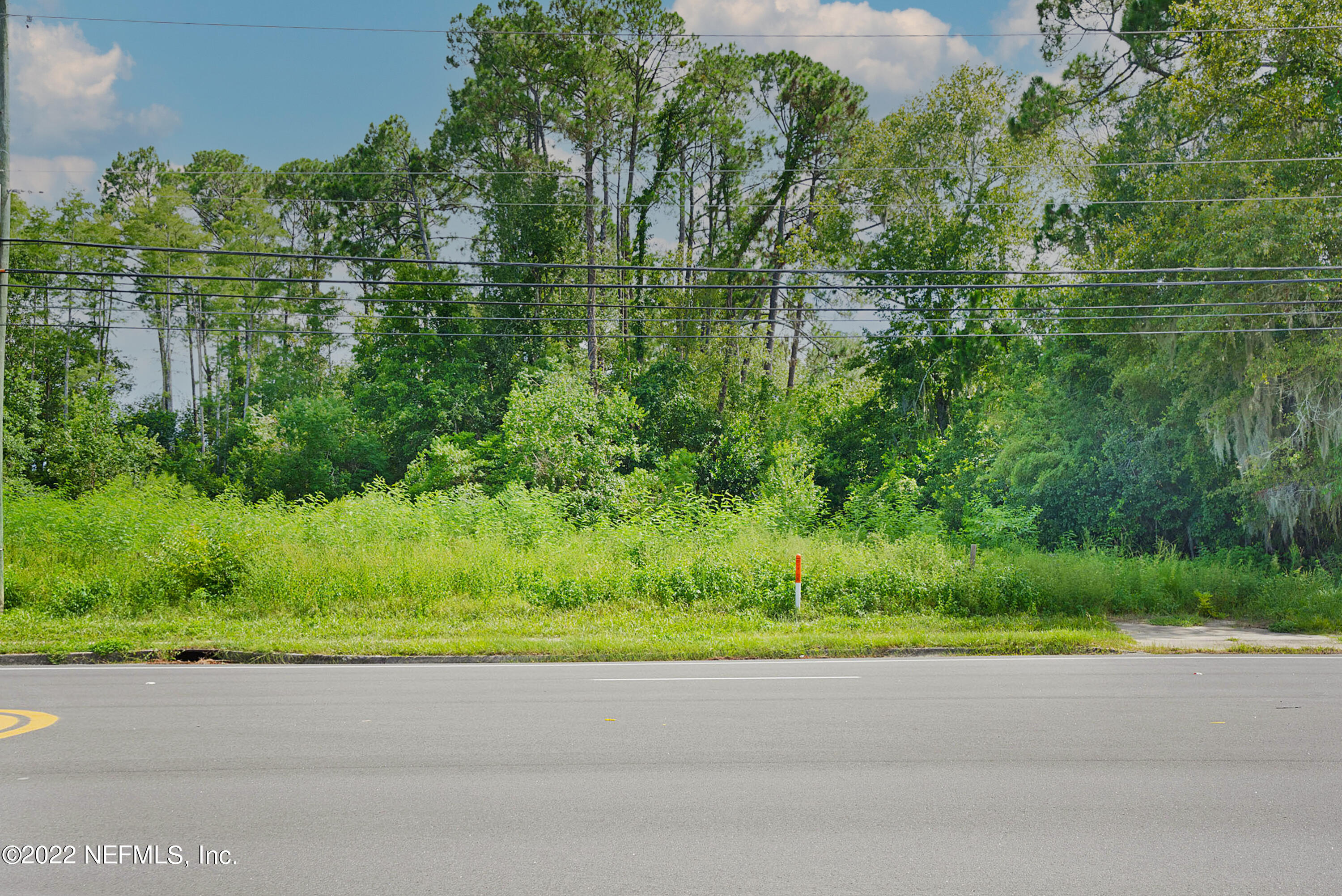 0 Old St Augustine Road Jacksonville, FL 32258 - Photo 11 of 13 a view of a yard with a plants and trees in the background