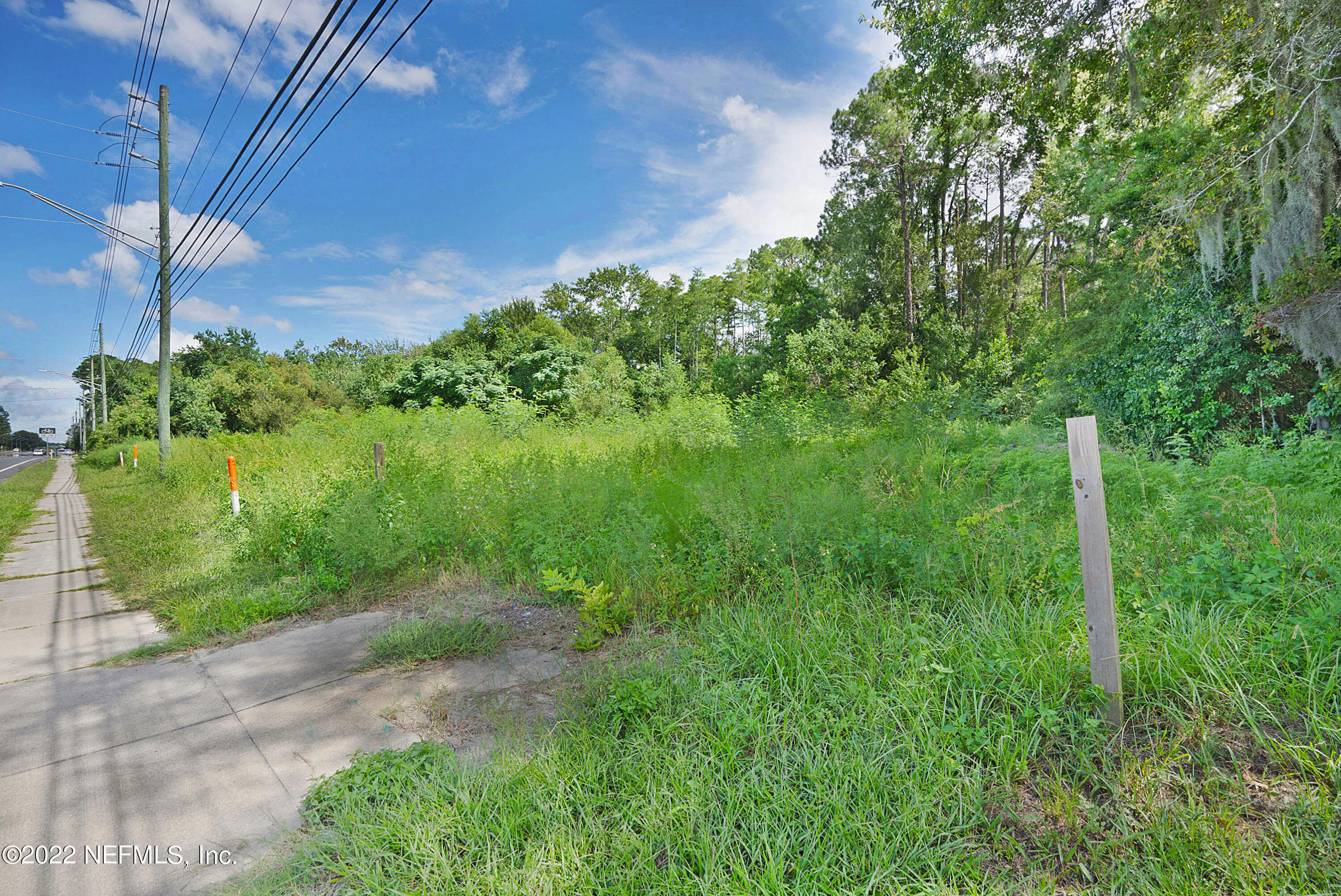 0 Old St Augustine Road Jacksonville, FL 32258 - Photo 5 of 13 a view of a garden