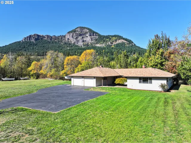 a view of a house with a yard and a large tree