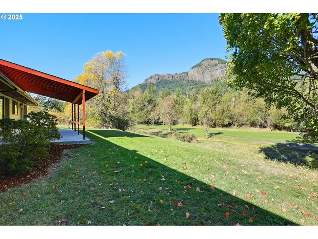 a view of a green field with an trees