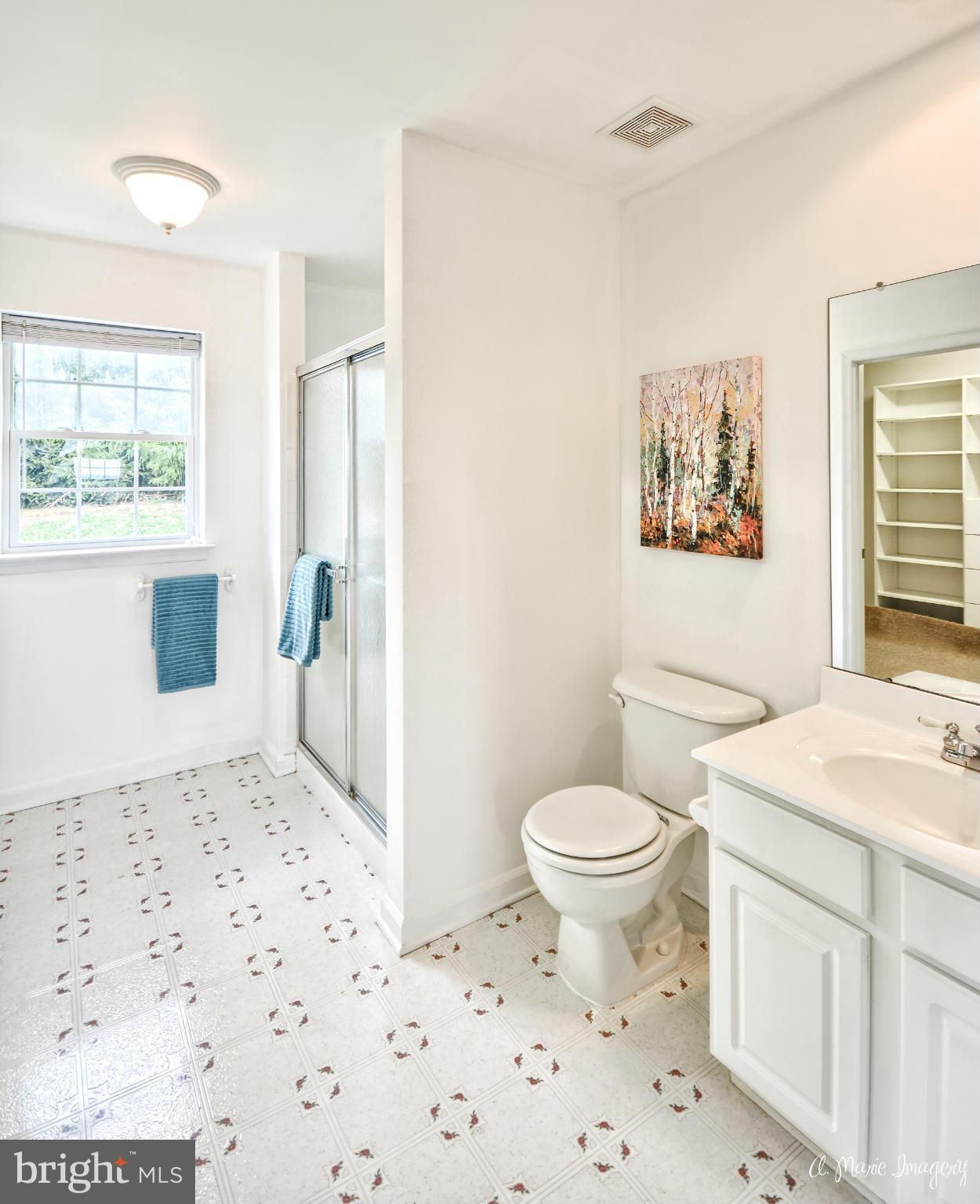 20844 Reno Monument Road Boonsboro, MD 21713 - Photo 27 of 30 Master bath