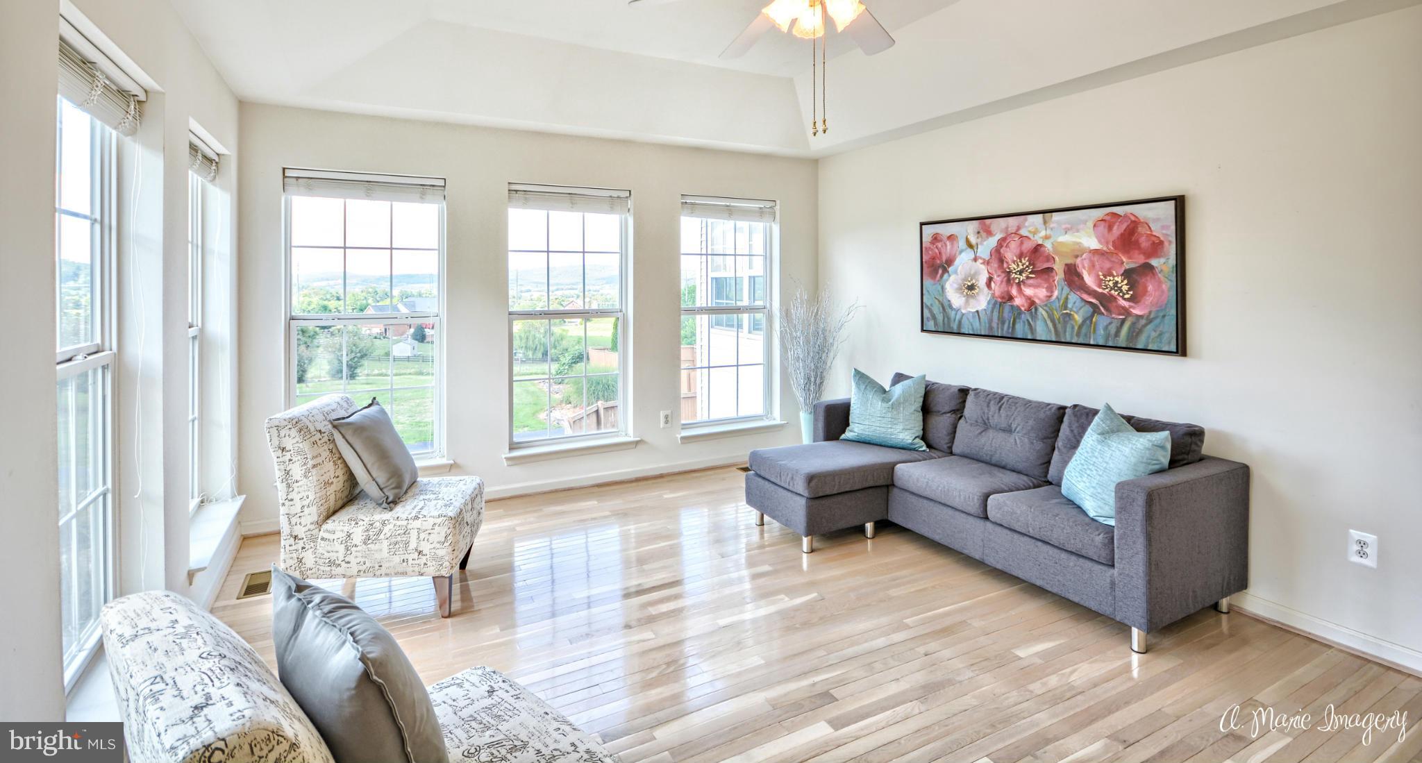 20844 Reno Monument Road Boonsboro, MD 21713 - Photo 4 of 30 First Room...Breathtaking