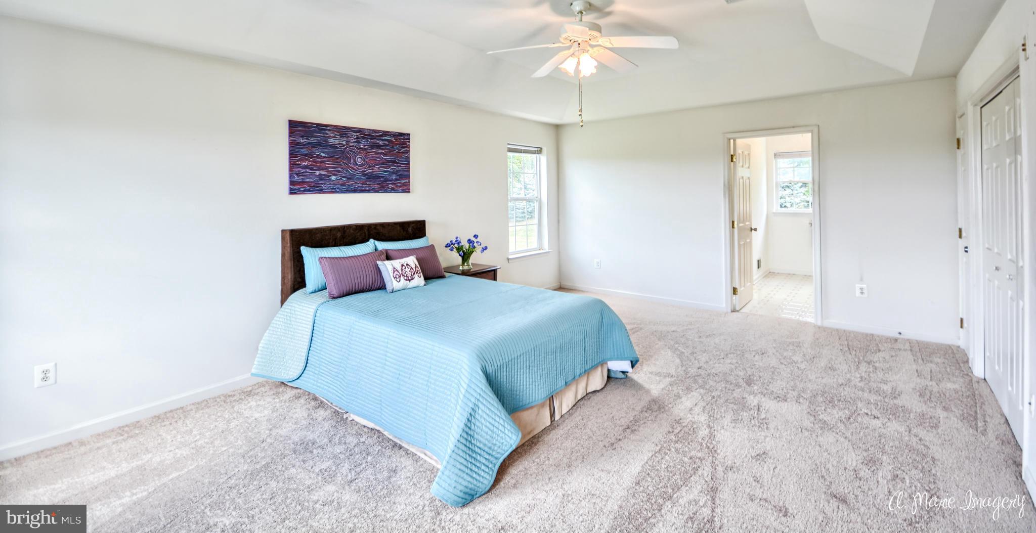 20844 Reno Monument Road Boonsboro, MD 21713 - Photo 7 of 30 Large Master Bedroom