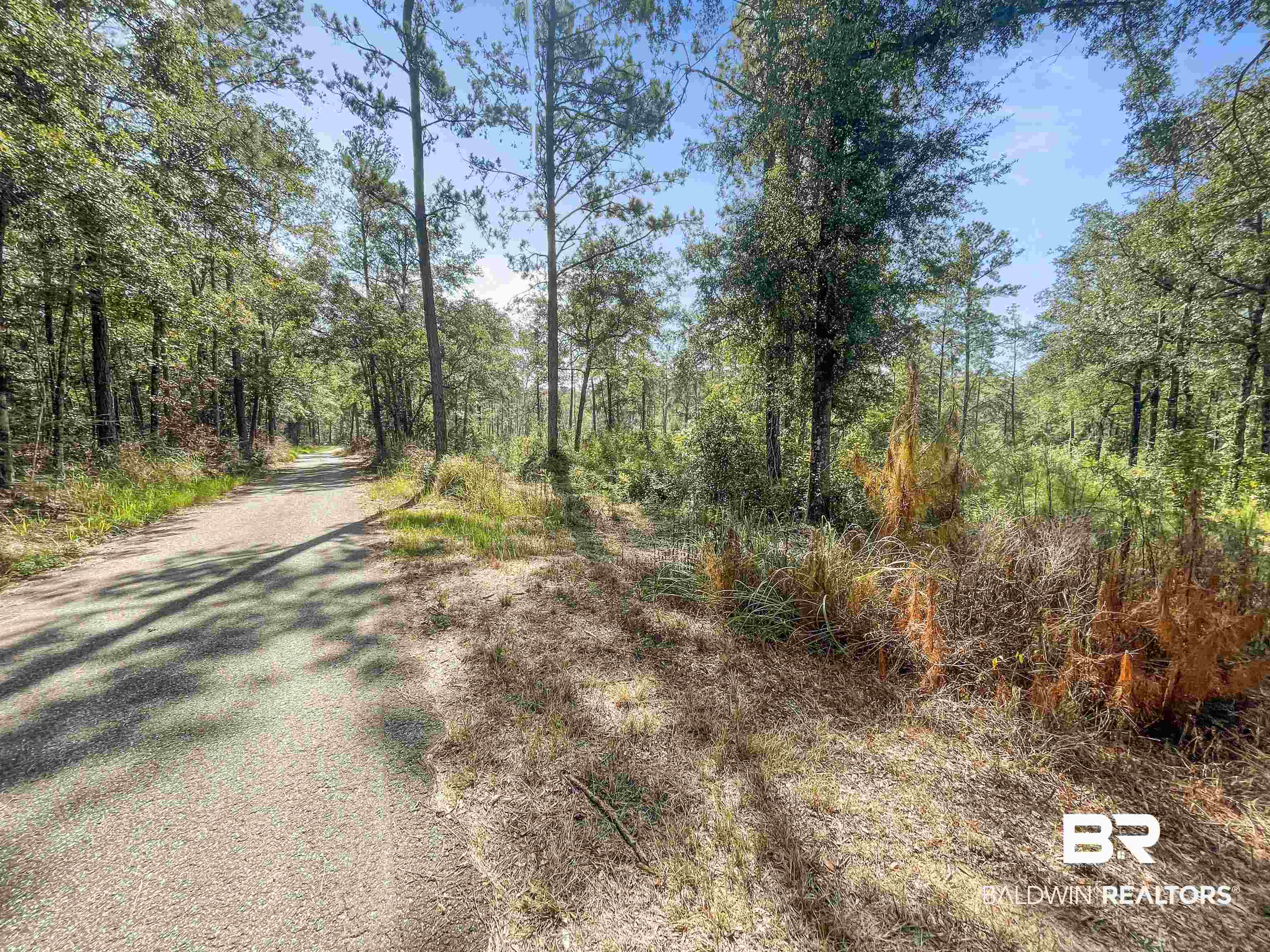 42464 Dixon Road South Bay Minette, AL 36507 - Photo 3 of 8