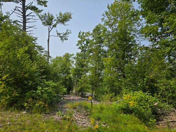 $39,000 | Lot7 Lot7 Bear Brook, Sebec, ME 04481