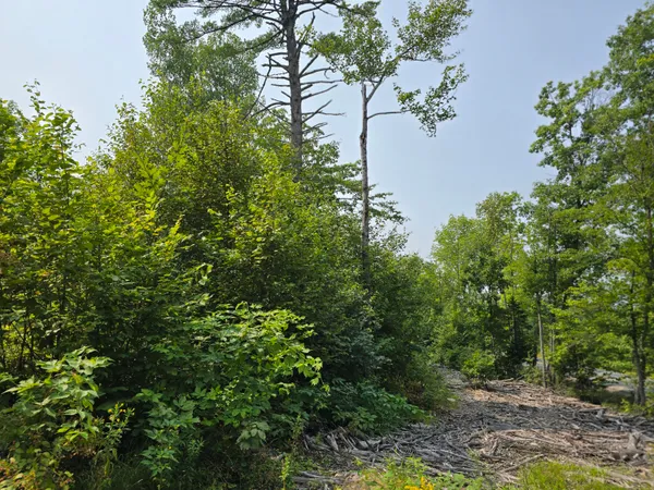 $39,000 | Lot7 Lot7 Bear Brook, Sebec, ME 04481