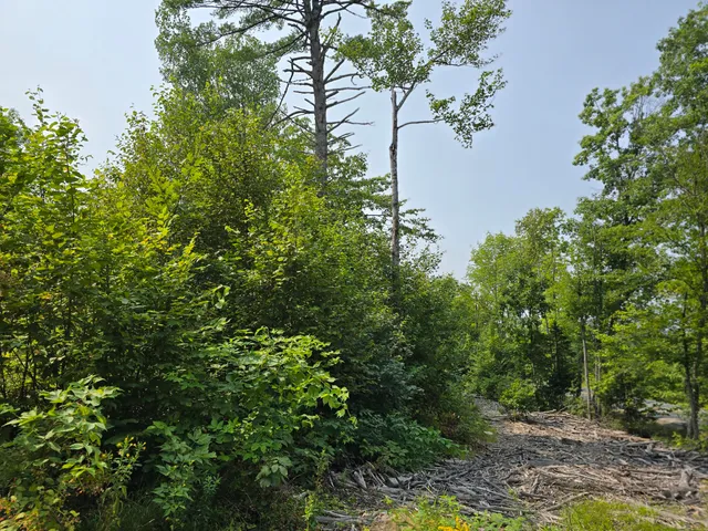 $39,000 | Lot7 Lot7 Bear Brook, Sebec, ME 04481