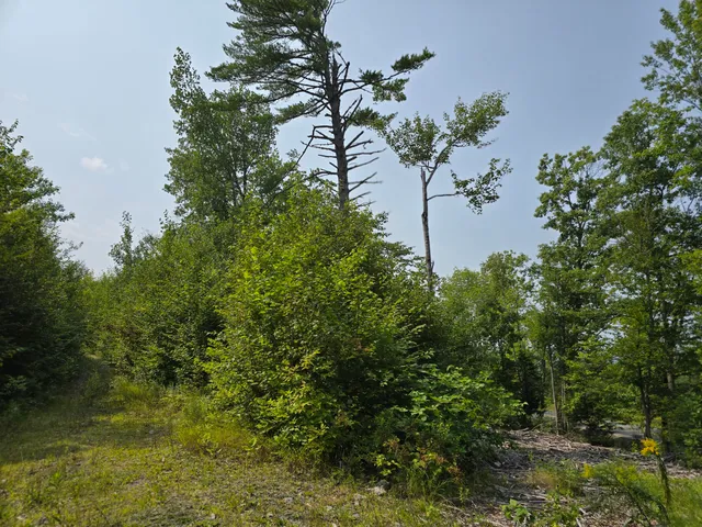 $39,000 | Lot7 Lot7 Bear Brook, Sebec, ME 04481