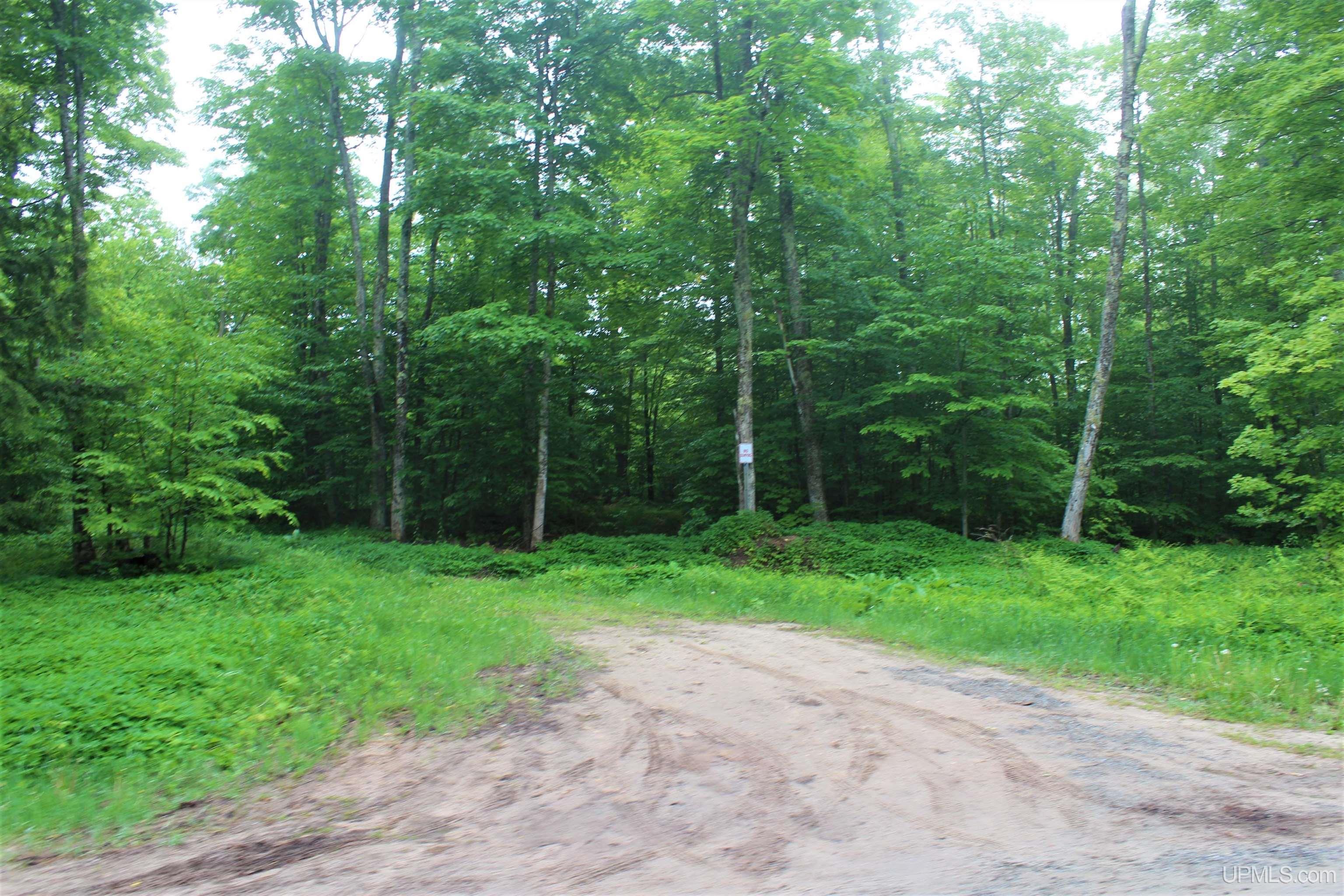 On Gage Road Munising, MI 49862 - Photo 11 of 17