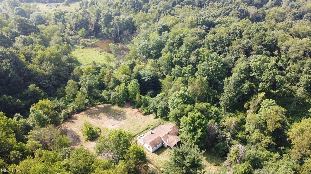 630 Allison Road Chester, WV 26034 - Photo 12 of 19
