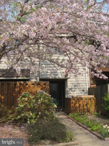 1935 Winterport Cluster Reston, VA 20191 - Photo 2 of 5 Exterior #2