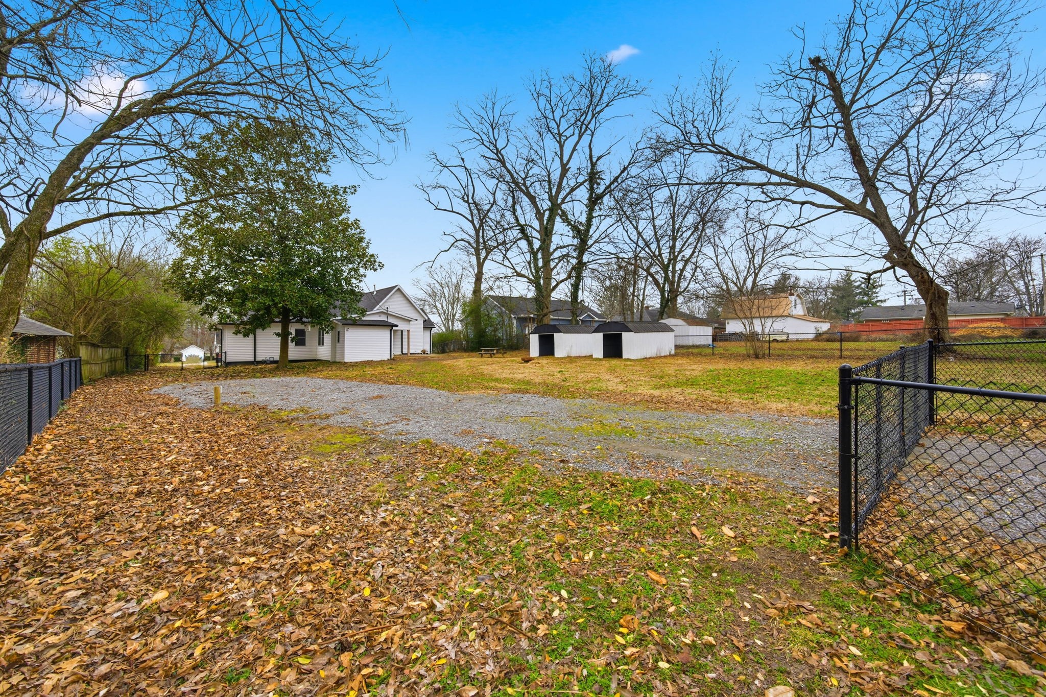 504 North Washington Street Tullahoma, TN 37388 - Photo 34 of 41 a view of yard with tree in the background