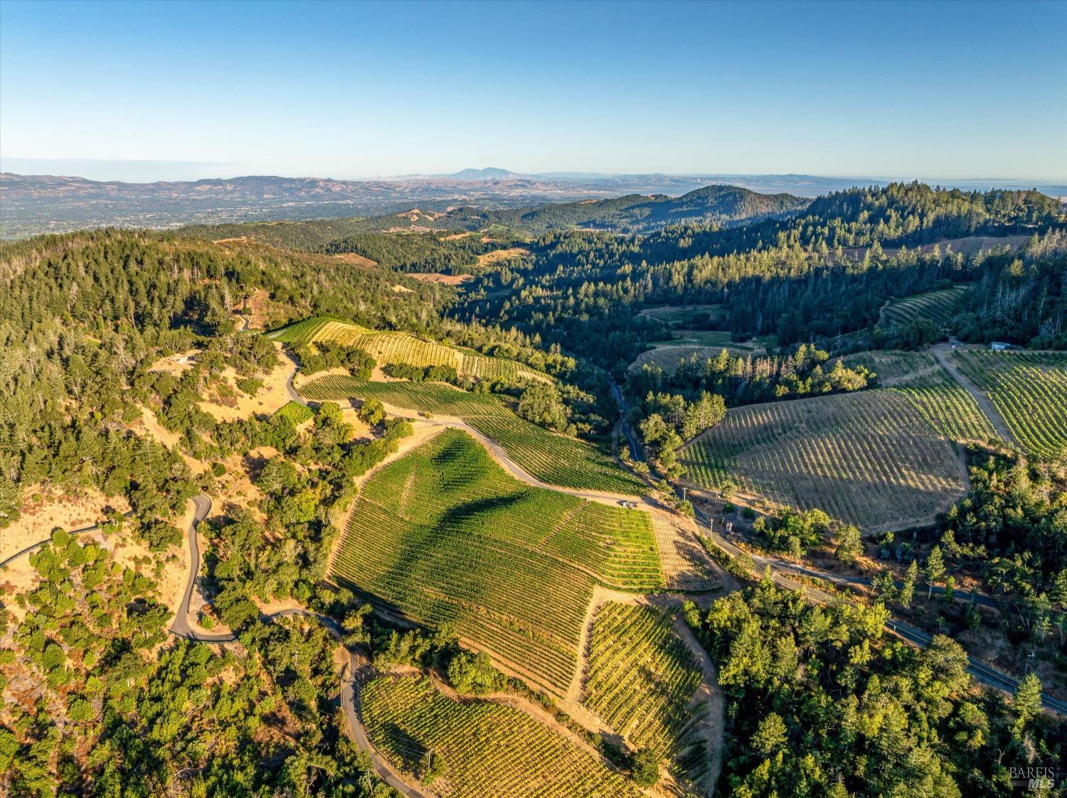 2340 Mt Veeder Road Napa, CA 94558 - Photo 4 of 38