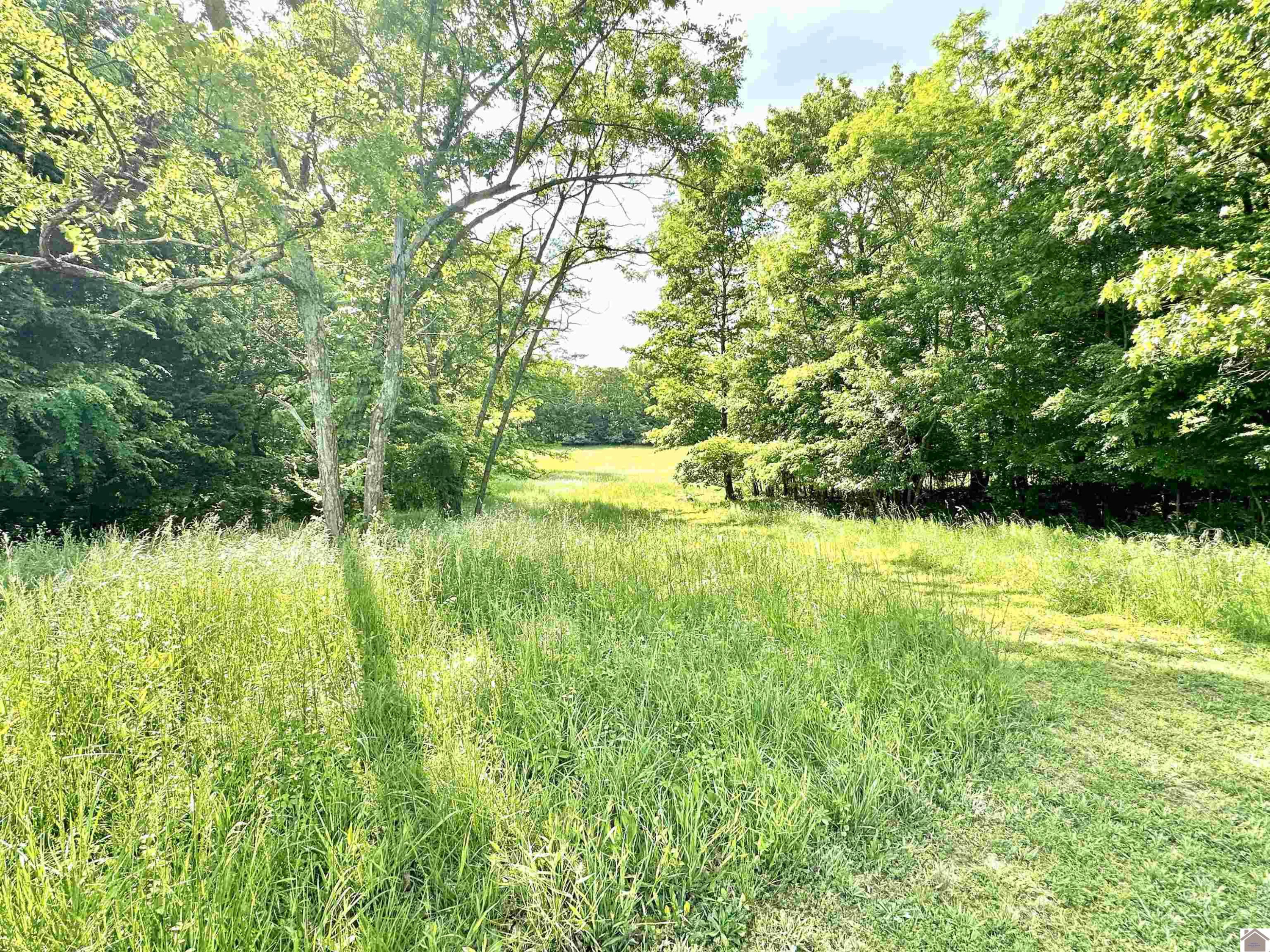 5109 S Road Cadiz, KY 42211 - Photo 15 of 35 Photo 15