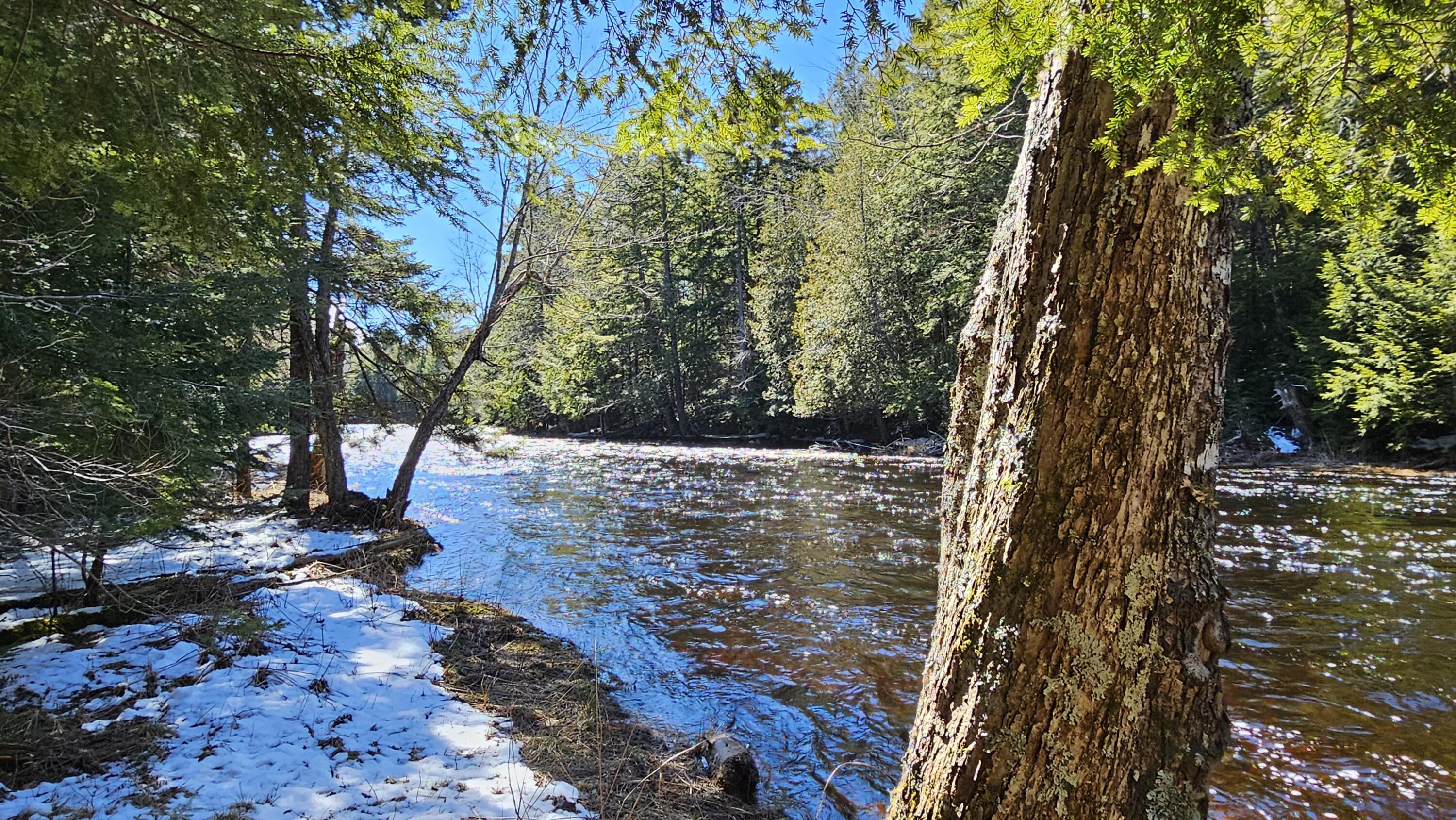 Lot #92 Smith Road Ellsworth, ME 04605 - Photo 5 of 18 Union River