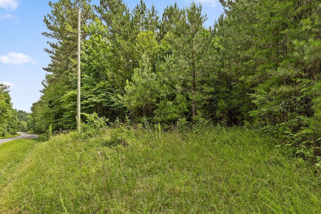 4 A Old Sawmill Road Chatsworth, GA 30705 - Photo 3 of 25 Gallery Image 3