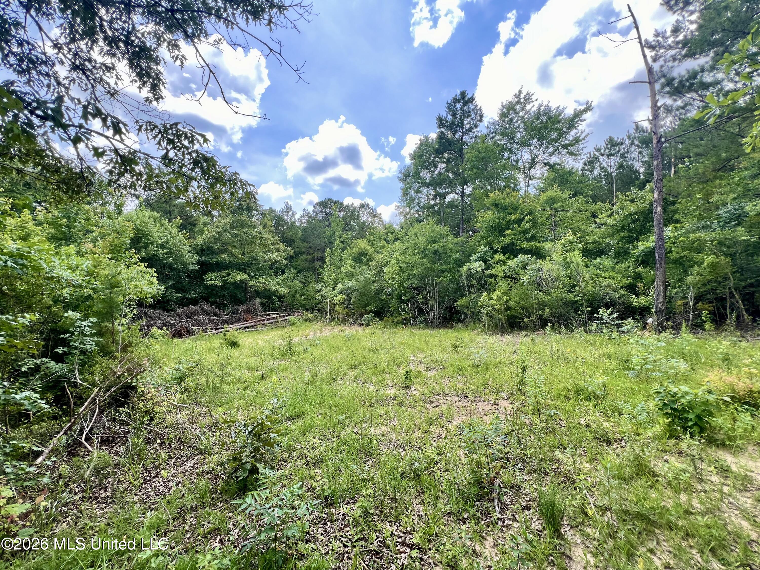 169 Holmesville Road Jayess, MS 39641 - Photo 4 of 12 IMG_6075
