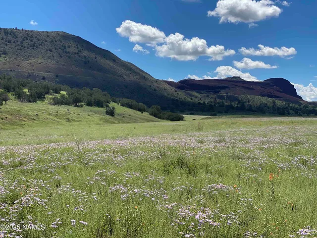 $1,808,400 | 12913 Wild Horse Trail, Flagstaff, AZ 86004