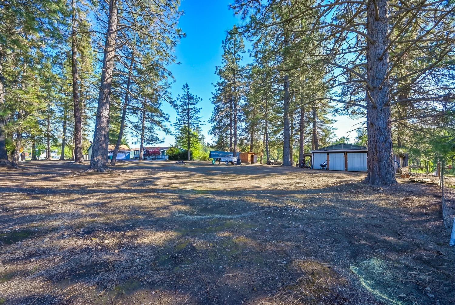 4360 Pleasant Valley Road Placerville, CA 95667 - Photo 19 of 71 a view of street with trees on sides