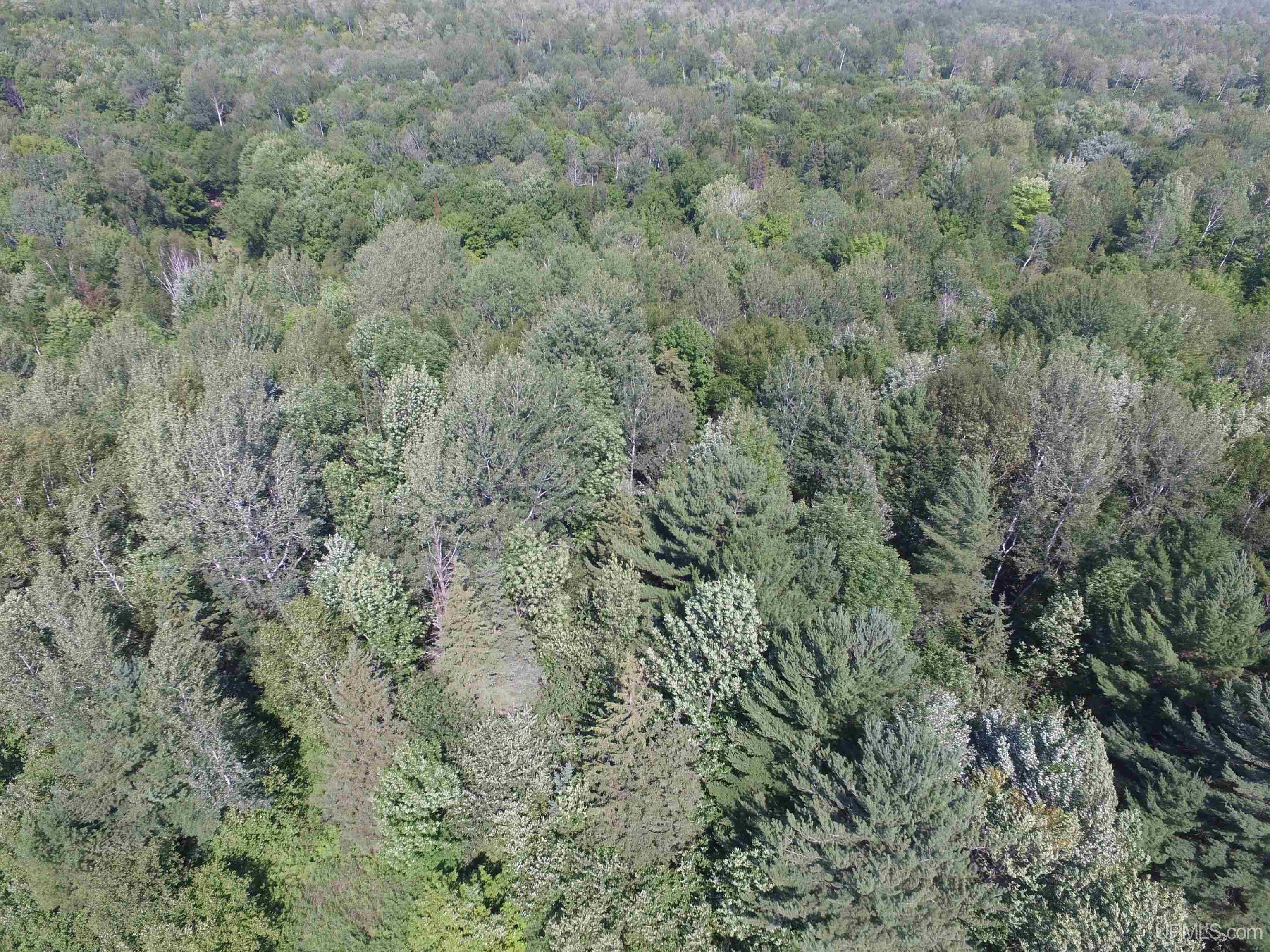 35200 L P Walsh Road Ontonagon, MI 49953 - Photo 3 of 15